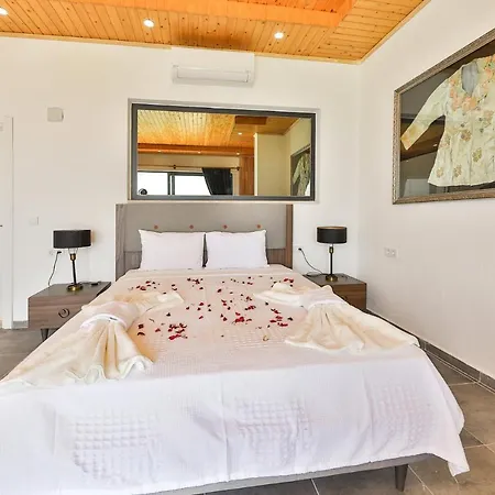 Mona Roza Villa *